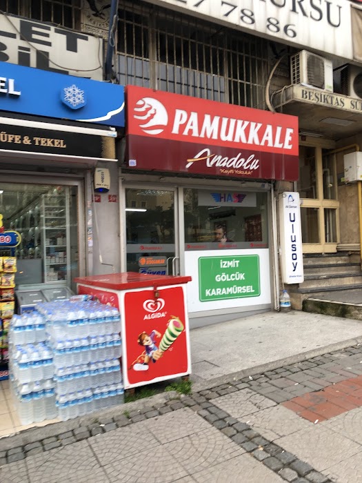 Pamukkale Tourism fotoğraf 1
